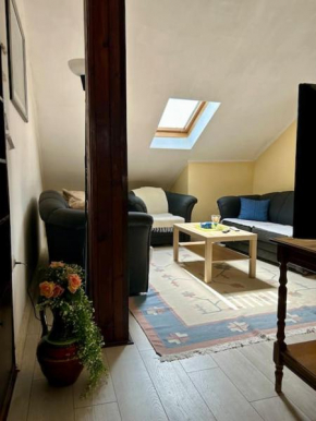 Central Park Apartment